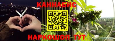 СК Новозыбков