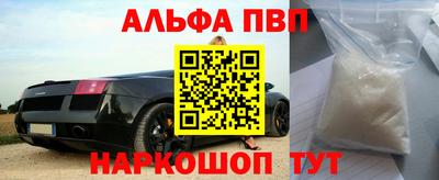 СК Новозыбков